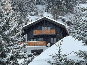 Am Bühl EG Bettmeralp